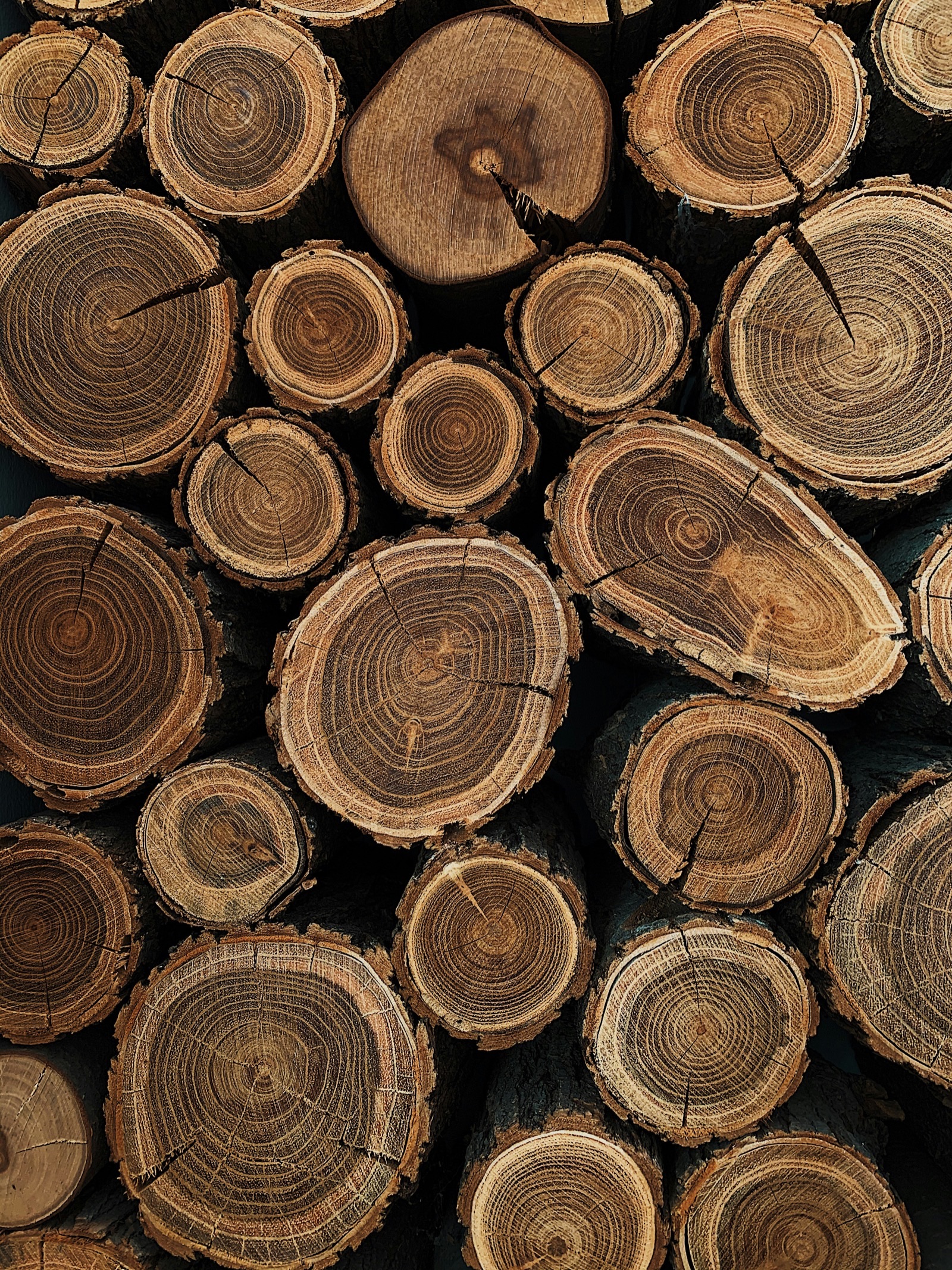 Close-up of wood grain texture